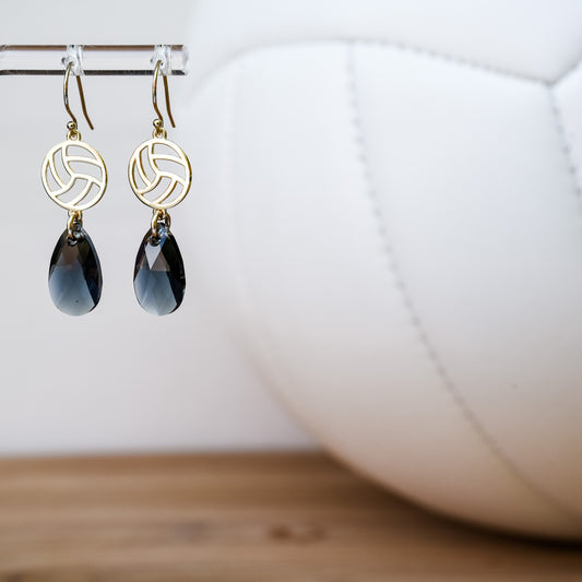 Volleyball Small Dangle Earrings (Hook Style)